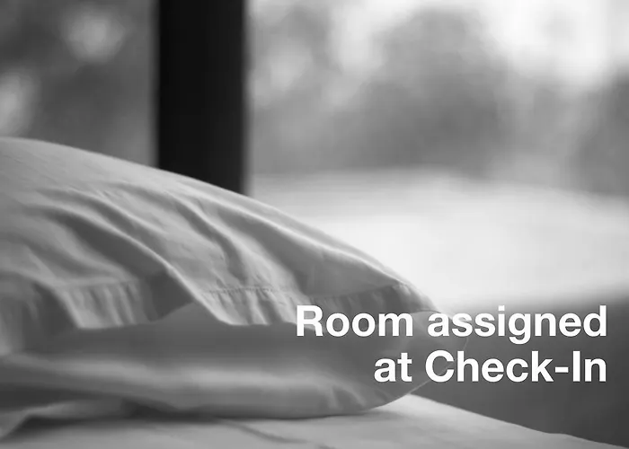 Sorell Asora Ароза