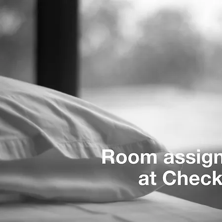 Sorell Asora 아로사