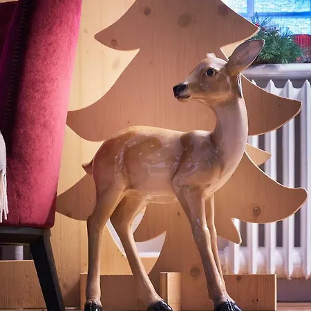 Sorell Asora 호텔 아로사